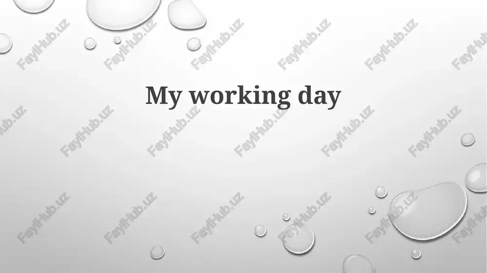 my working day — PPTX