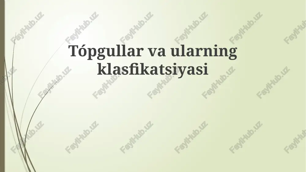 loy tuproqlar — PPTX