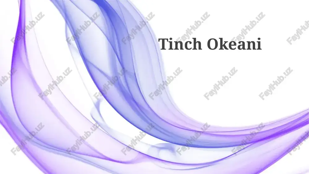 tinchokeani — PPTX