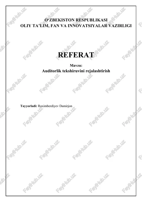 auditorlik tekshiruvini rejalashtirish — DOCX