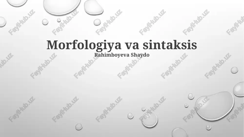 morfologiya va sintaksis — PPTX