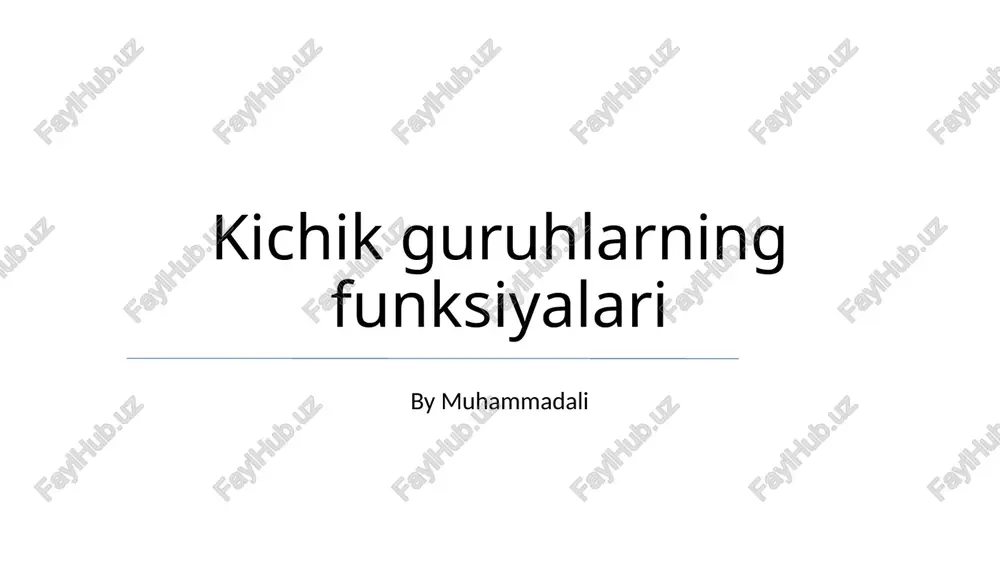 kichik guruhlarning funksiyalari — PPTX