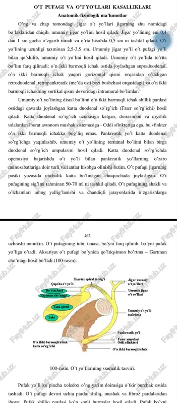 o’t pufagi va o’t yo’llari kasalliklari — PDF