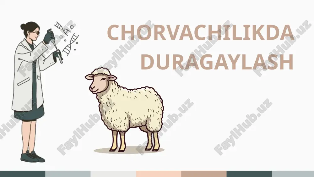 chorvachilikda duragaylash — PPTX
