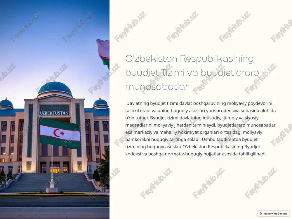 byudjet tizimi — PPTX
