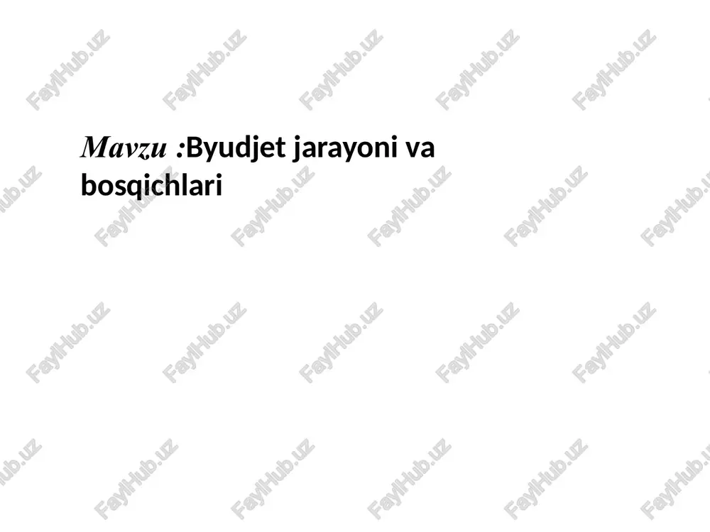 byudjetni ijro etish va uning nazorat qilish — PPTX