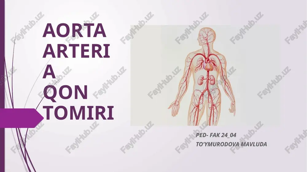 aorta arteriaqon tomiri — PPTX