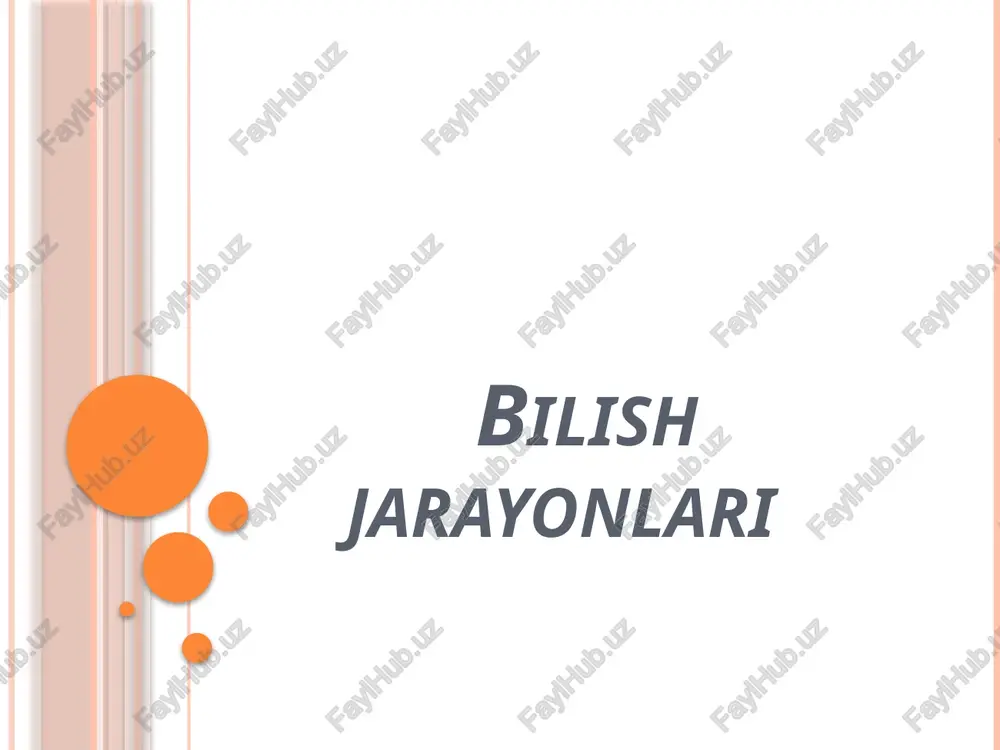 bilishjarayonlari — PPTX