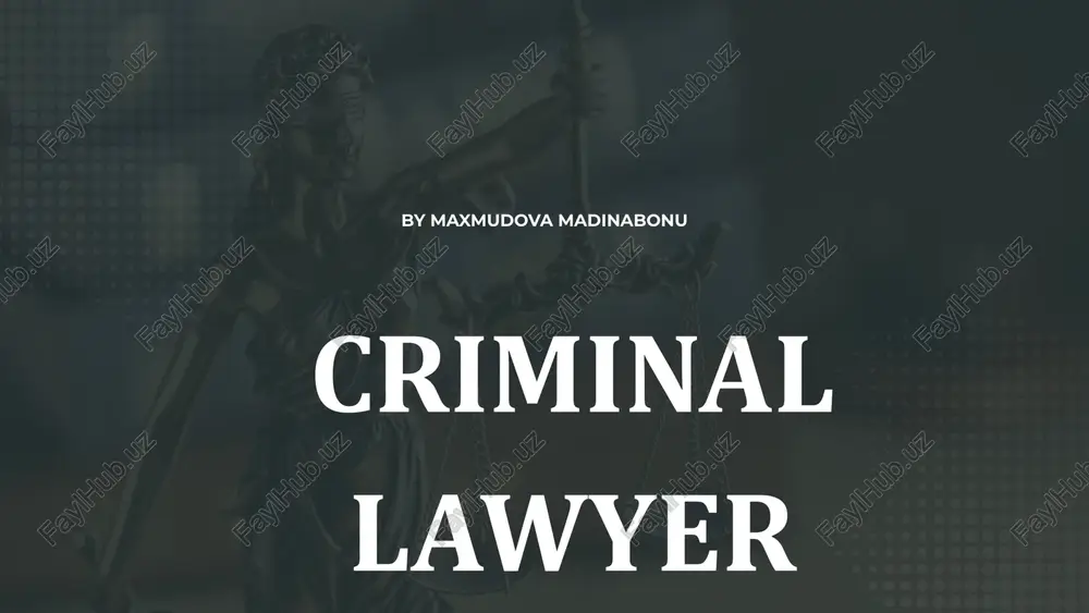criminal lawyer — PPTX