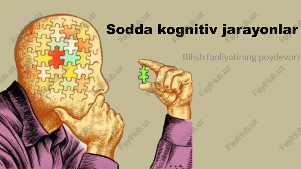soddakognitiv jarayonlar — PPTX