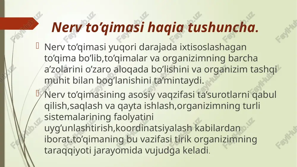 nervto’qimasi — PPTX