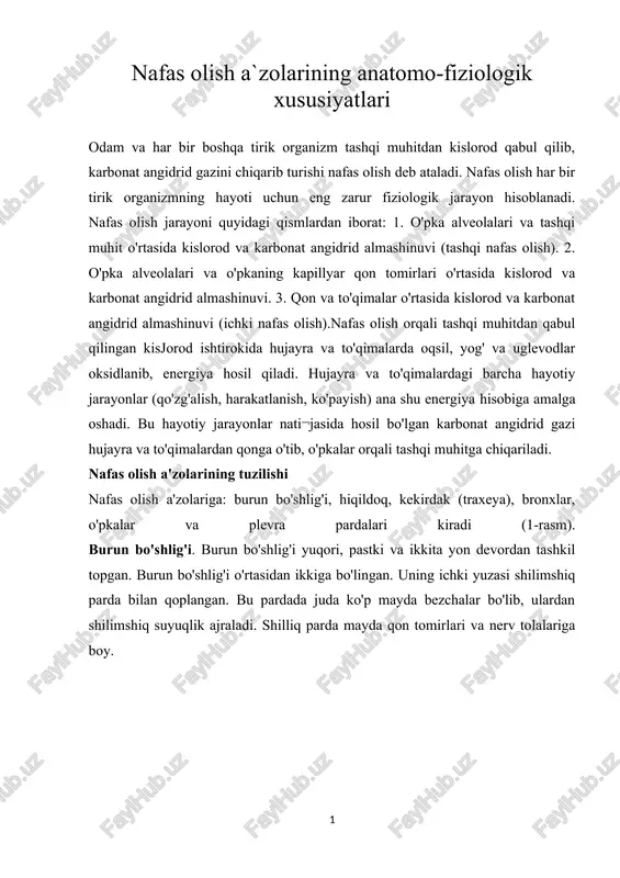 nafas olish a'zolarining anatomo-fiziologik xususiyatlari — DOCX