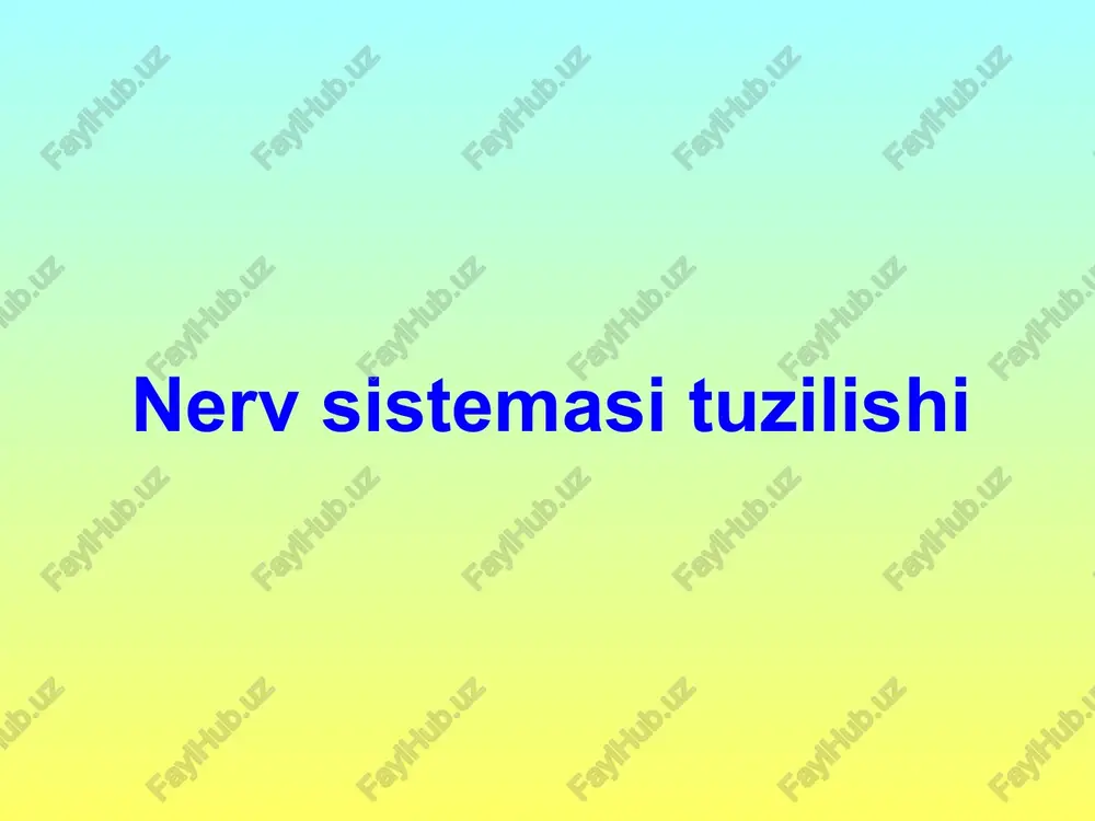 nervsistemasituzilishi — PPTX