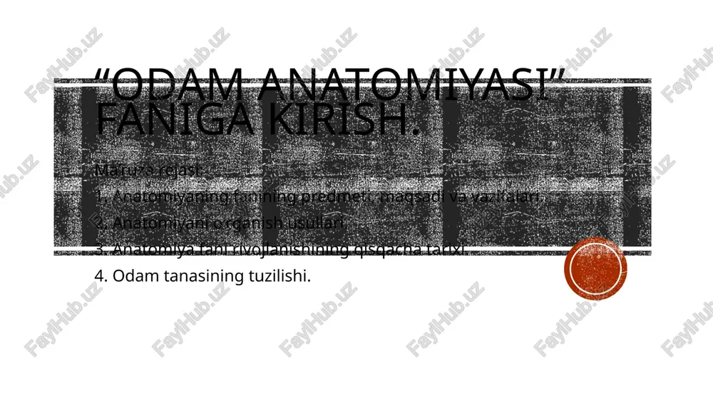 "odam anatomiyasi" — PPTX