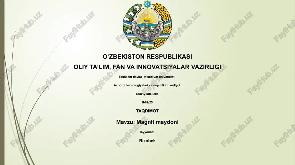 magnit maydoni — PPTX