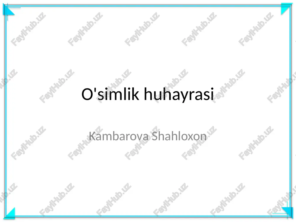 o'simlik huhayrasi — PPTX