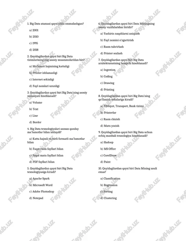 big data haqida test savollari — DOCX