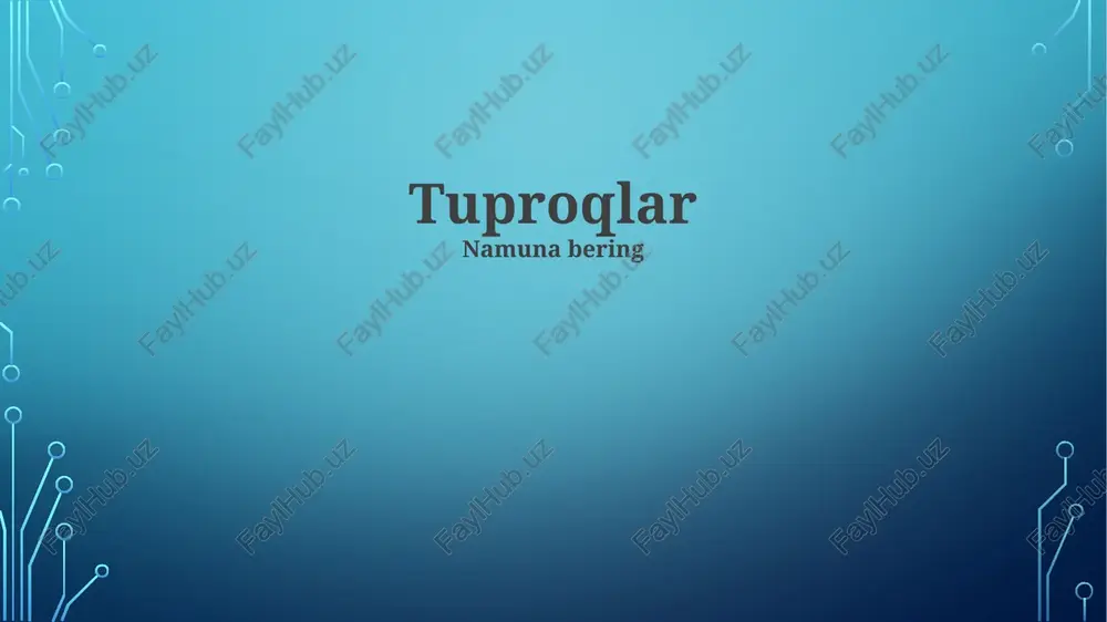 tuproqlar — PPTX