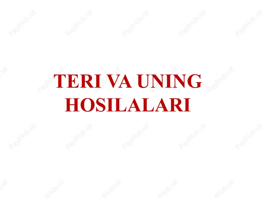 teri va uning hosilalari — PPTX