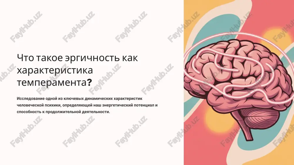 chto takoe ergichnost kak xarakteristika temperamenta? — PPTX