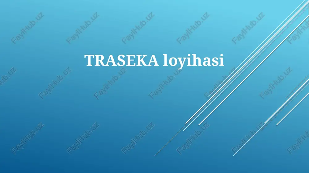 trasekaloyihasi — PPTX