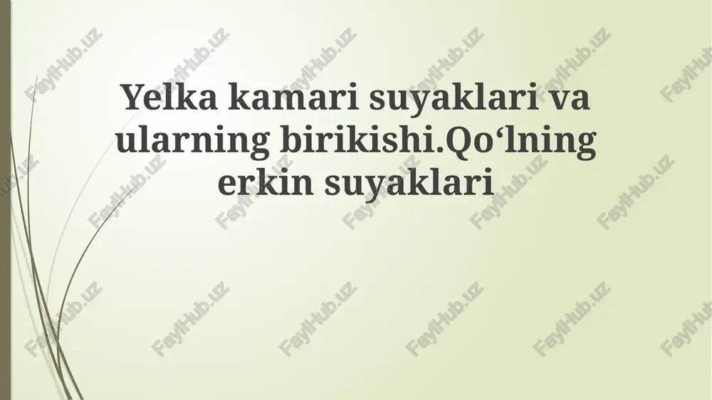 suyaklar va sirlar — PPTX