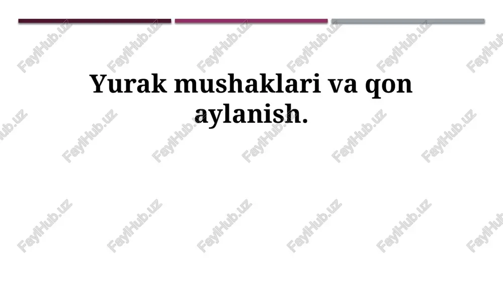 yurak mushaklari va qon aylanish — PPTX
