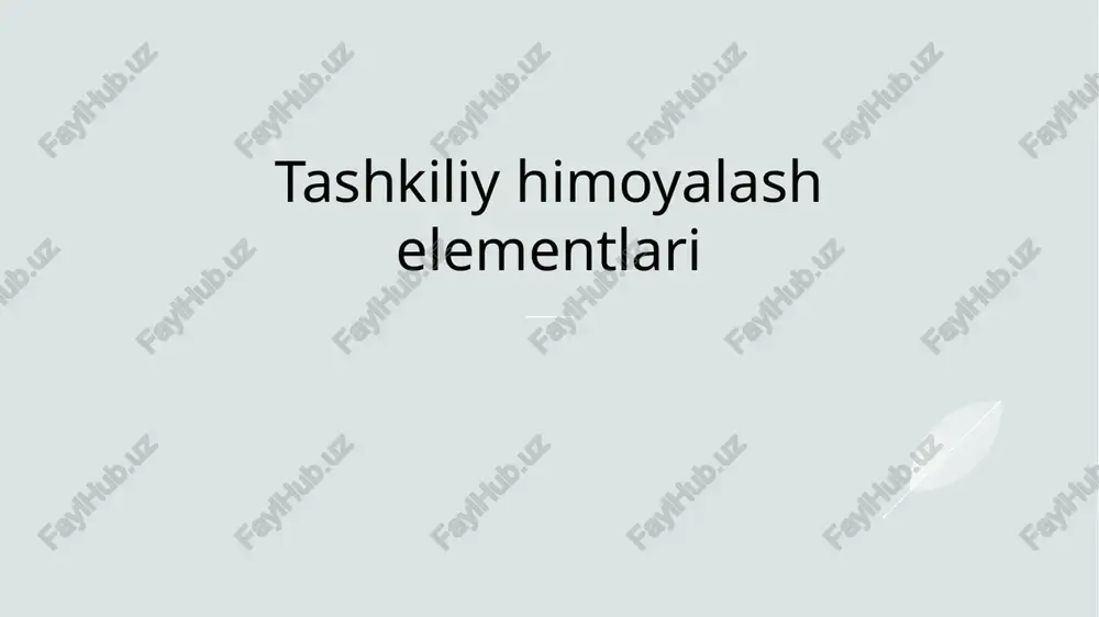 tashkiliy himoyalash elementlari — PPTX
