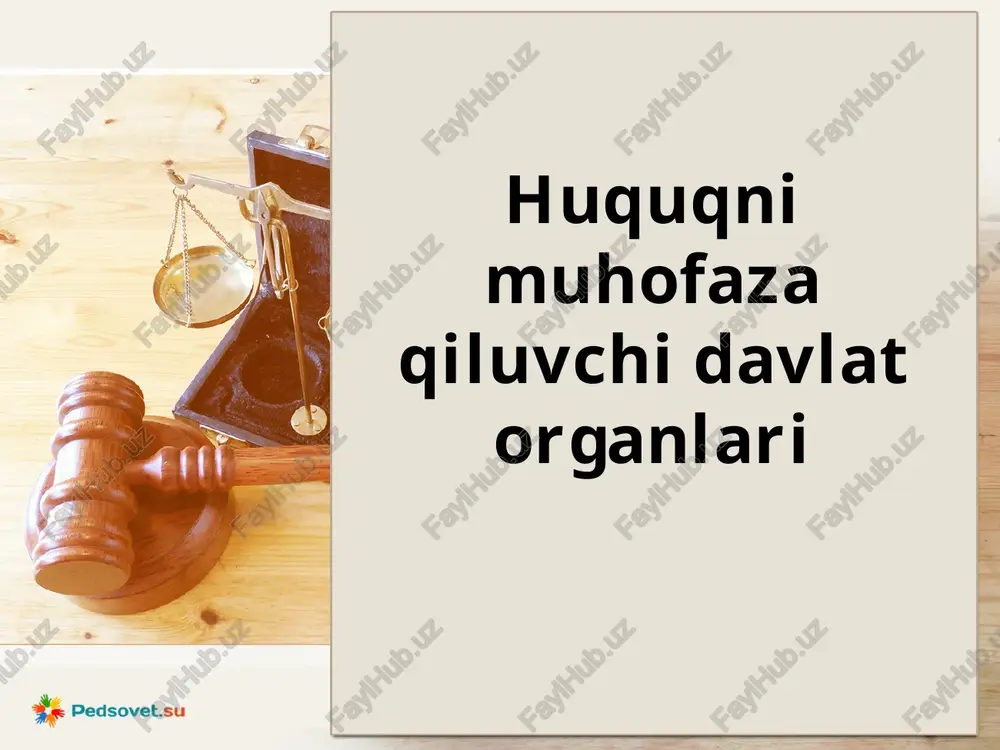 huquqnimuhofazaqiluvchidavlatorganlari — PPTX