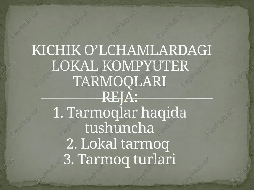 kichik o’lchamlardagi lokal kompyuter tarmoqlari — PPTX