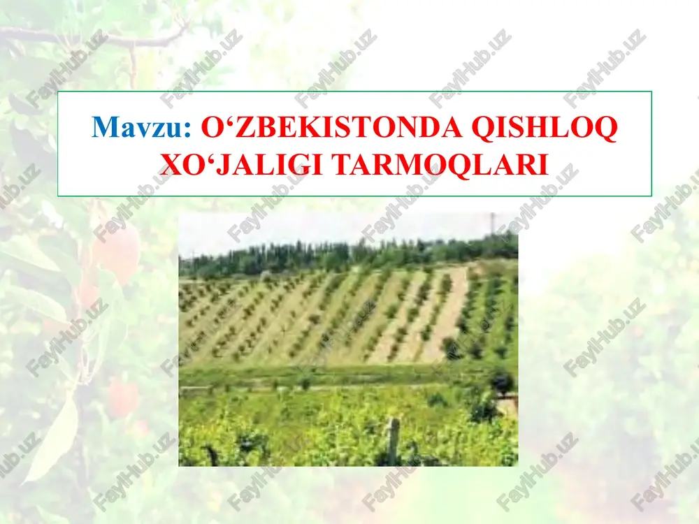 taqdimot — PPTX