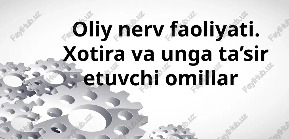 xotira — PPTX
