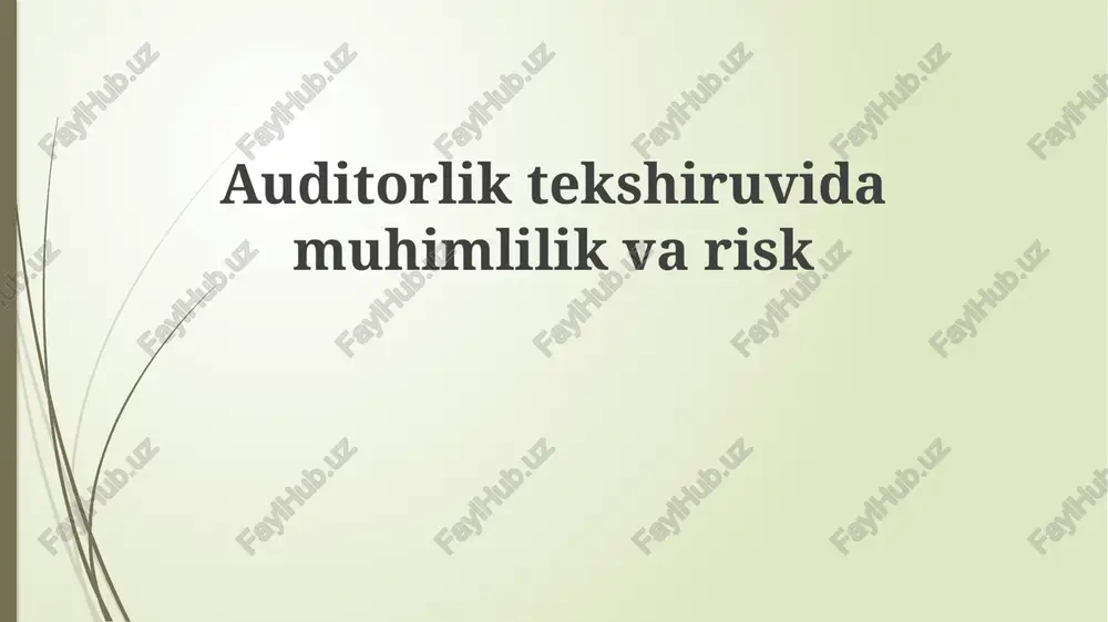 auditorliktekshiruvidamuhimlilikvarisk — PPTX