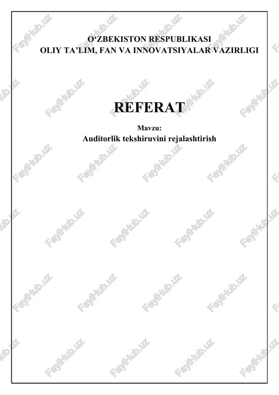 auditorlik tekshiruvini rejalashtirish — DOCX