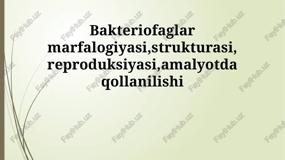 bakteriofaglar marfalogiyasi — PPTX