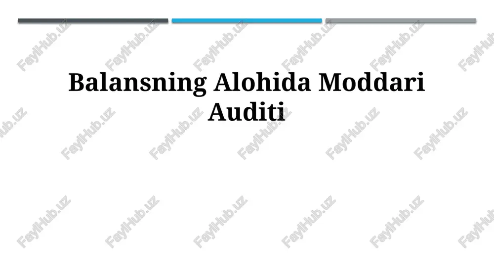 pul mablagʻlari auditi — PPTX