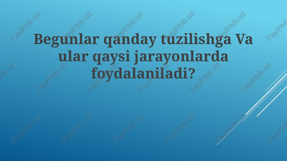 oqsillar tuzilishi — PPTX