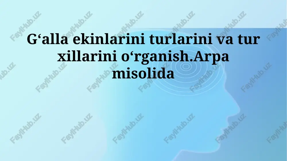 don ekinlarini turlari va navlari — PPTX