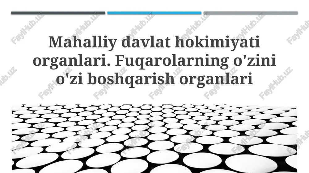 mahalliy davlat hokimiyati organlari — PPTX