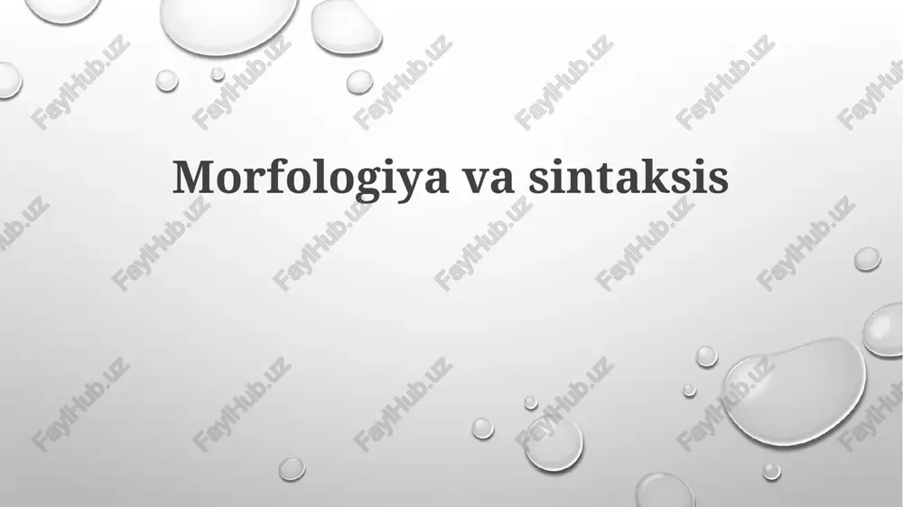 morfologiya va sintaksis — PPTX