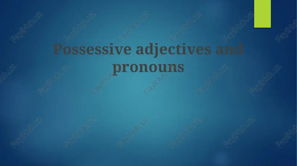 possessive adjectives and pronouns — PPTX