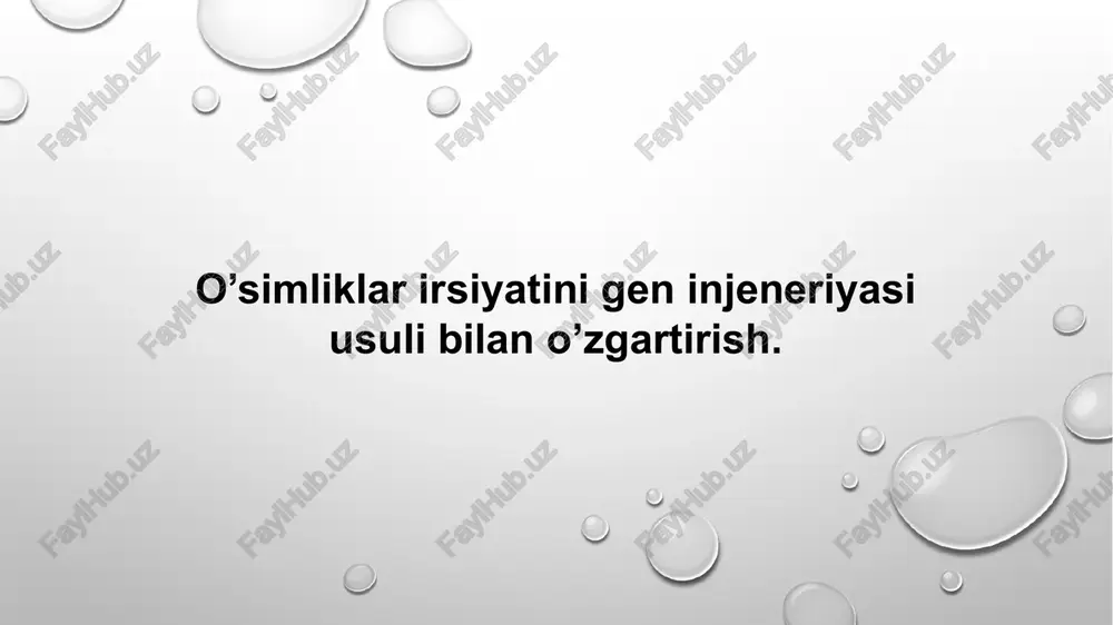 o’simliklar irsiyatini gen injeneriyasi usuli bilan o’zgartirish — PPTX