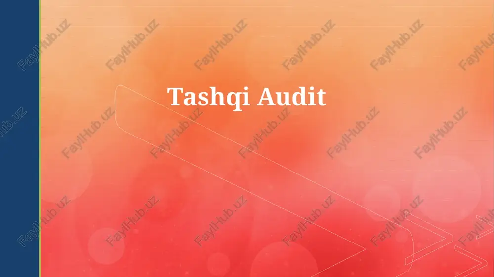 tashqi audit — PPTX