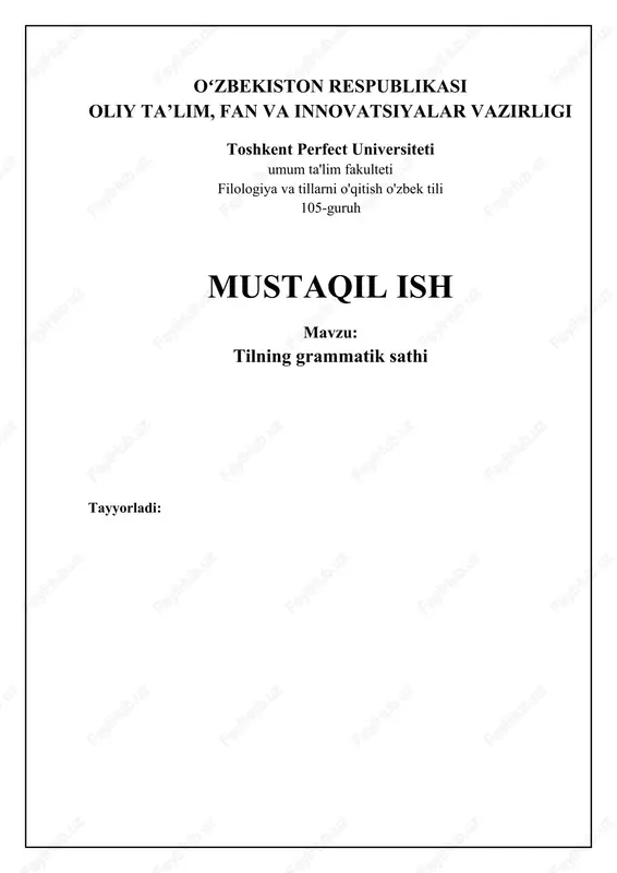 tilning grammatik sathi — DOCX