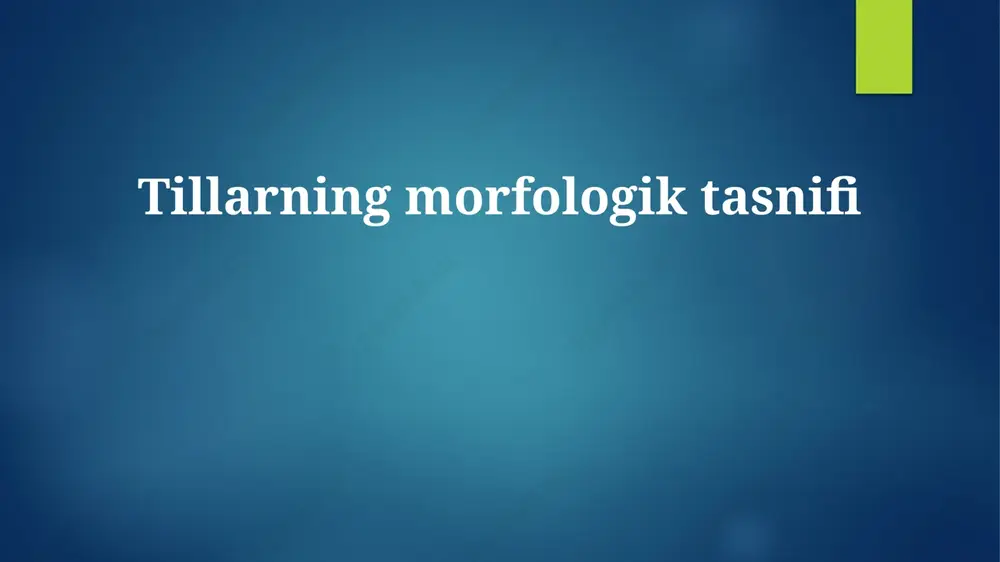 tillarning morfologik tasnifi — PPTX