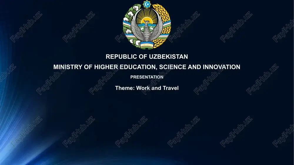 work and travel presentation — PPTX
