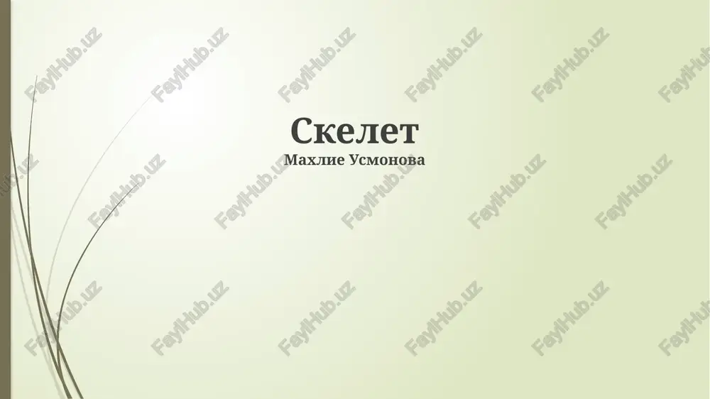 skelet — PPTX