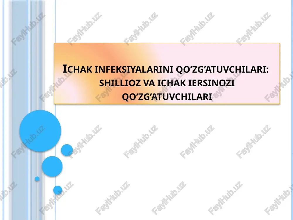 shigellalar — PPTX