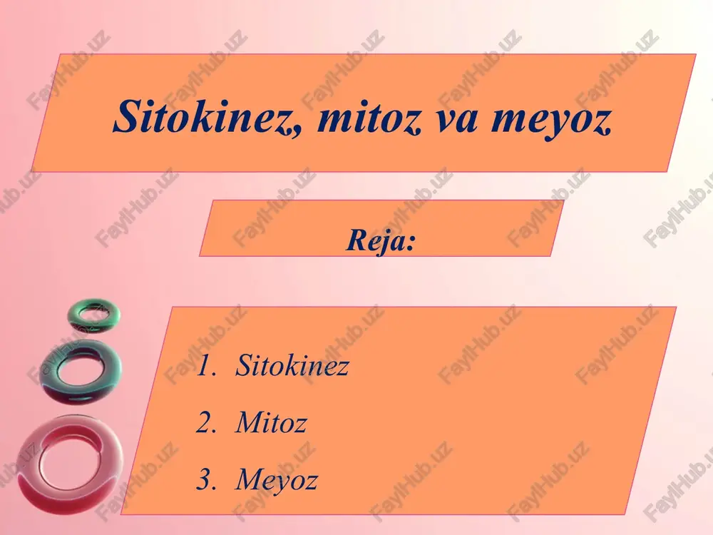 sitokinez, mitoz va meyoz — PPTX