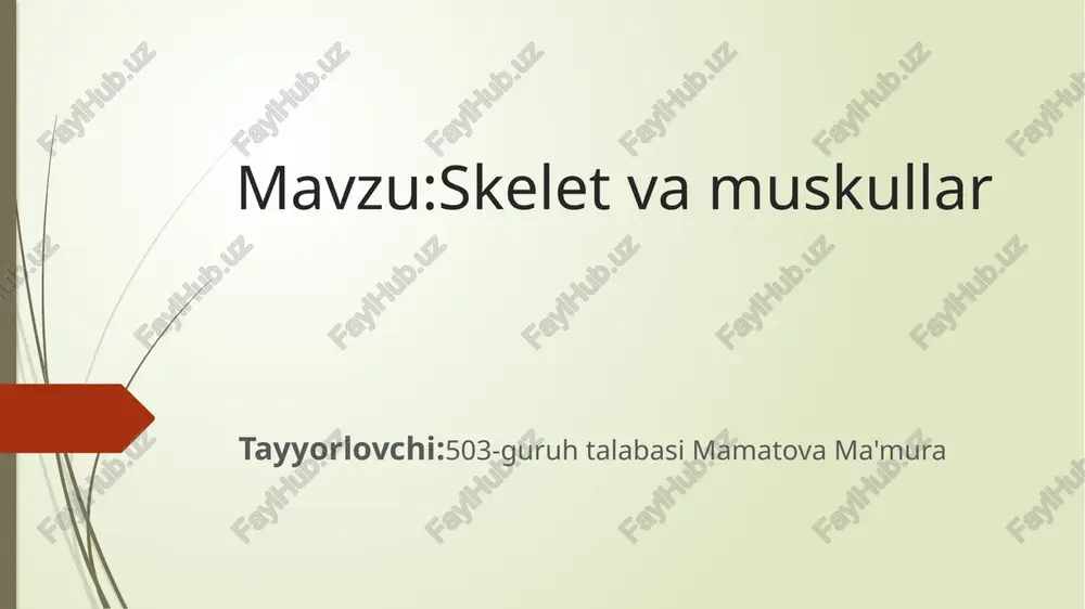 skelet va muskullar — PPTX